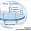 システム構成図(出典:ソフトバンクなどの共同報道発表資料より)