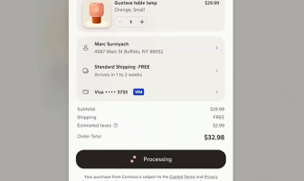 （出典：Stripeの報道発表資料より）